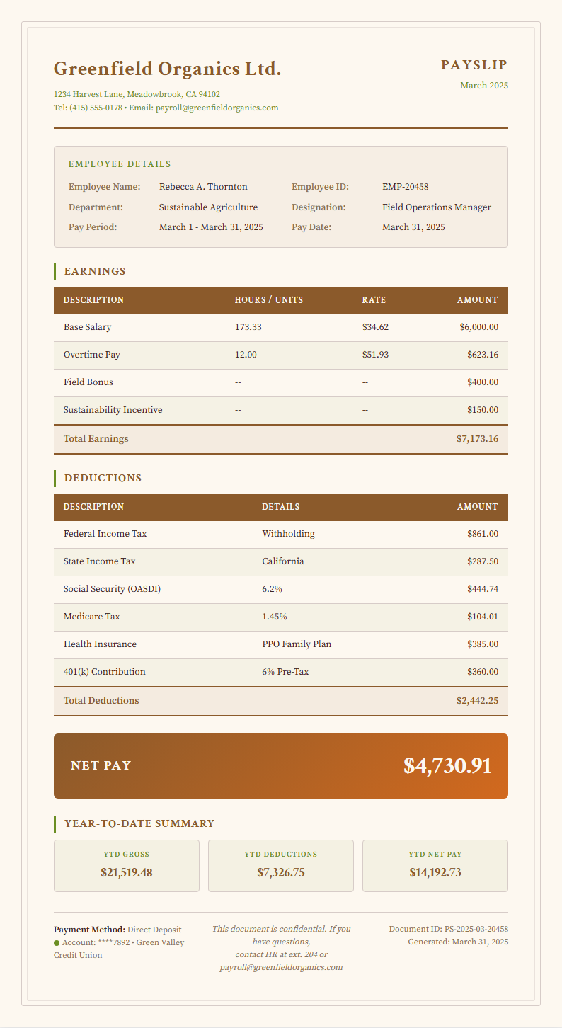 Earth Tone Natural Payslip